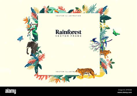 A Wild Rainforest Decorative Frame With Animals And Botanical Plants