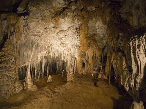 Mole Creek Caves Discover Tasmania