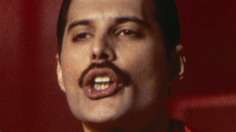 Freddie Mercury Net Worth At Time Of Death
