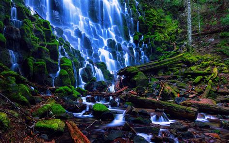 Usa Nature Landscape Oregon Ramona Falls Stones