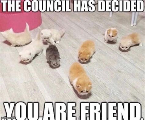 The Council Has Decided Imgflip