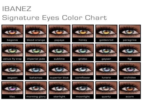 Eye Color Based Caste System Designed By Probably The Alt Right Hapas Aryan Exam Eye Color