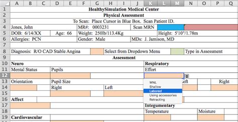 Ehr Physical Assessment Document For Simulation Includes Excel