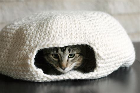 These free crochet patterns are all for cat sized beds. Cat Nest · A Pet Bed · Yarn Craft and Crochet on Cut Out ...