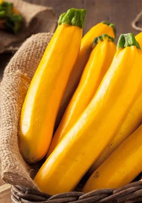 Yellow Squash 195 Per Lb Majestic Foods Patchogue New York