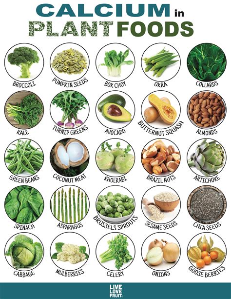 Calcium Rich Plant Foods Calcium Is A Nutrient Derived From The Soil And Is An Important
