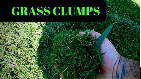 How To Clean Up Grass Clumps Without Bagging Your Lawn Clippings Youtube