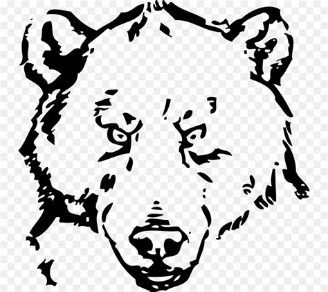 Grizzly Bear American Black Bear Giant Panda Polar Bear Bear Head