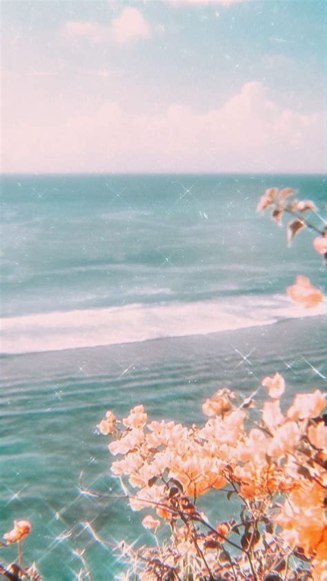 ܰ P I N T E R E S T Livebyfaithh Ocean Sunflower Pretty Hippie