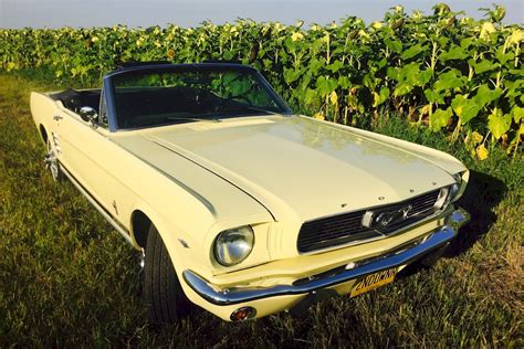Springtime Yellow 1966 Ford Mustang Convertible