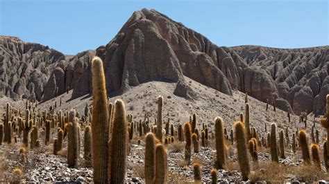 Top Things To Do And See In Salta Argentina