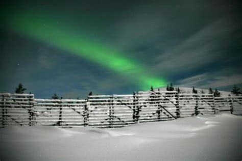 Photo Gallery Lapland Northern Lights Northern Light