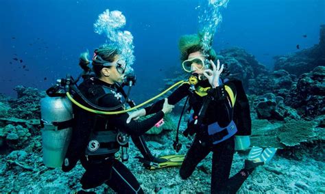 Scuba Diving Course Deep Blue Sea Diving Groupon