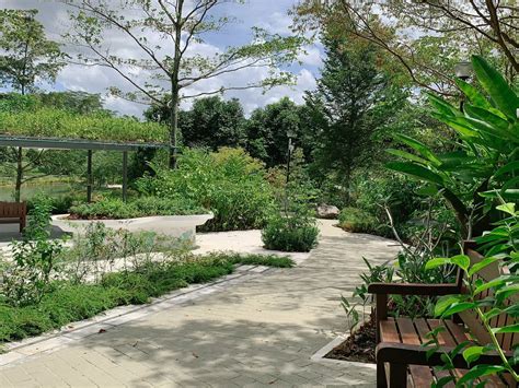New Therapeutic Garden At Punggol Waterway Park Has Scenic View To Help