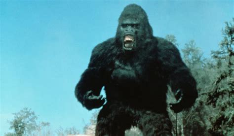 King Kong Lives Revisiting The Terrible Kong Flop You Never Saw