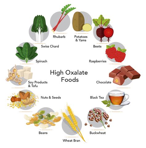 Foods High In Calcium Oxalate Kidney Stones