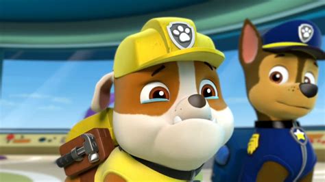 Image Rubble Are U Cryingpng Paw Patrol Wiki Fandom Powered By