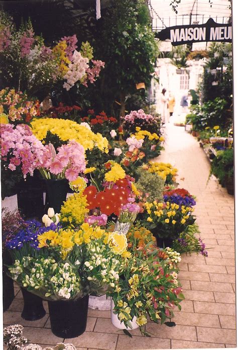 Последние твиты от printemps (@printemps). Printemps - The Bounty of Spring Flowers ~ France Daily Photo