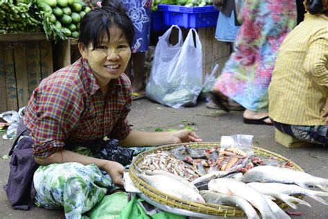 The cape town fish market you know and love today is result of almost two decades of passion and hard work by ctfm's founder, douw. Indian Fish Market (2) | Yangon | Pictures | Burma in ...