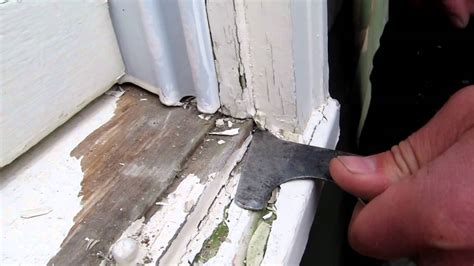 Easiest Way To Scrape Paint Off House Visual Motley