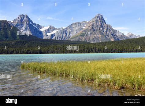 Howse Peak And Mount Chephren From Waterfowl Lake Banff Nationalpark