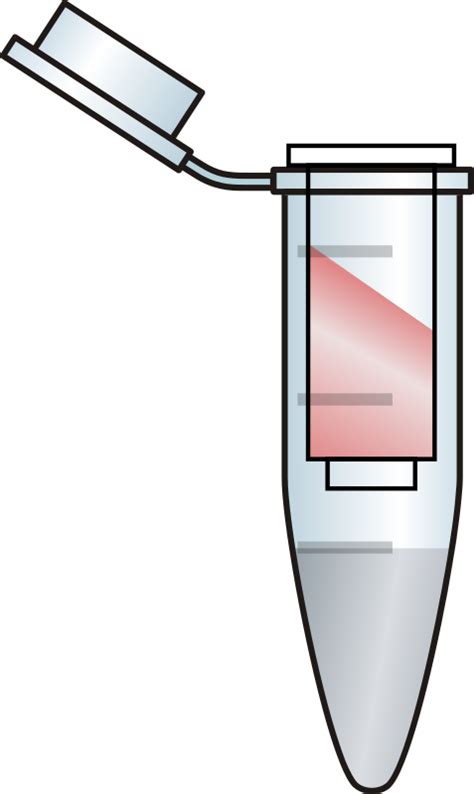 Opened Eppendorf Tube With Filter RED Openclipart