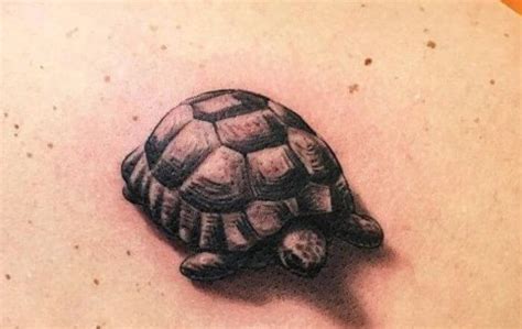 25 Tortoise Tattoo Designs Ideas And Meanings Petpress Tortoise