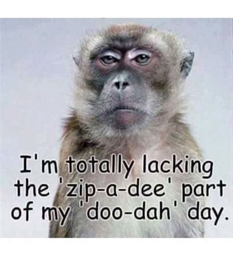I M Totally Lacking The Zip A Dee Part Of My Doo Dah Day Snarky Quotes Funny Quotes Funny