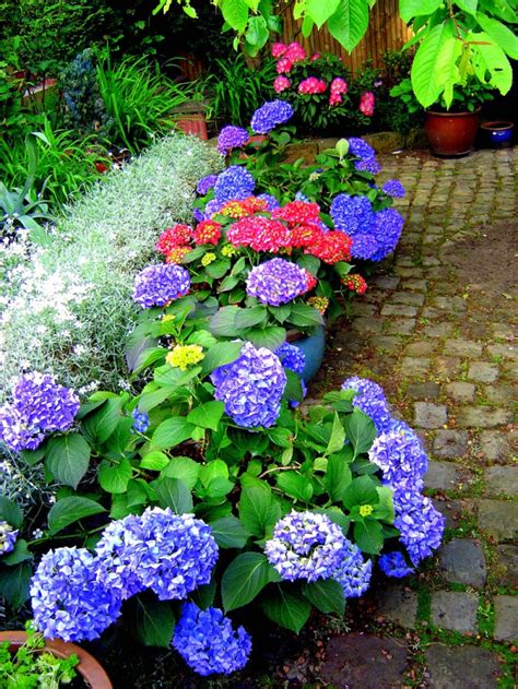 Check spelling or type a new query. Garten