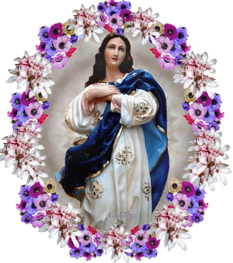 Adora Al Santísimo En Cardel La Inmaculada Concepción De La Virgen María