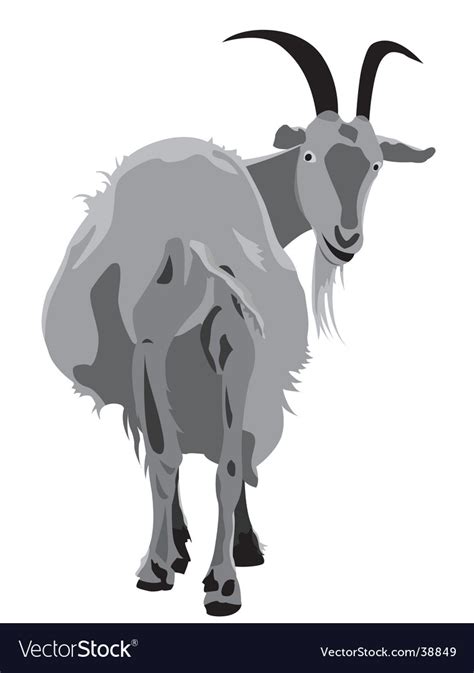 Horned Goat Royalty Free Vector Image Vectorstock