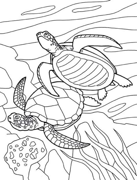 It makes sad and must be stopped. Free Picture Of Sea Turtle Mating Coloring Page - Download ...