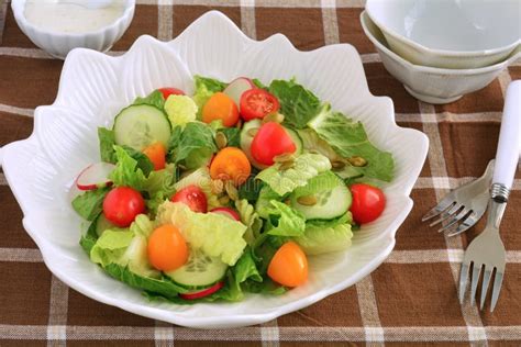 Fresh Garden Salad In White Bowl Stock Image Image Of Garden