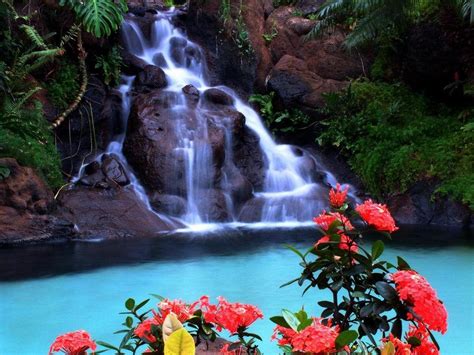 Waterfall Flowers Wallpapers Wallpaper Cave