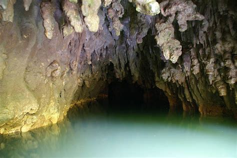 Waitomo Glowworm Caves New Zealand Desktop Wallpapers