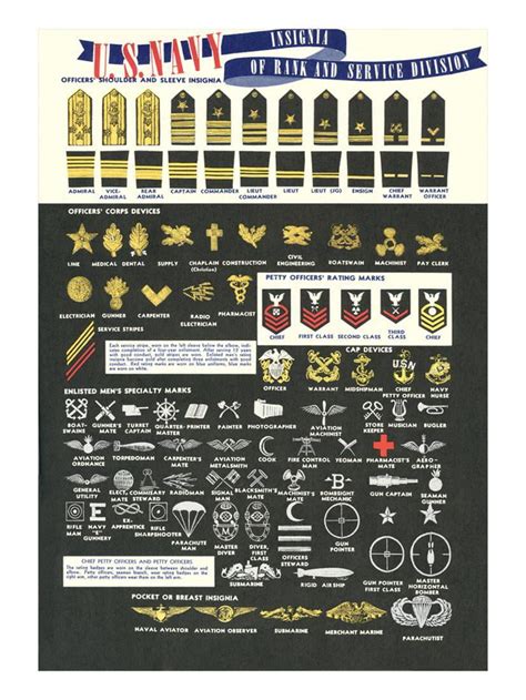 US Navy Rank And Service Insignia Print Wall Art Walmart Com Walmart Com