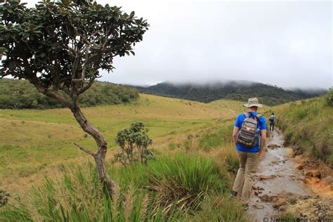 Hiking World S End Sri Lanka S Overlooked Scenic Gem Exploring Kiwis