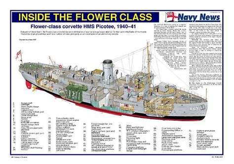 Flowerclass 600424 Royal Canadian Navy Battleship Navy Ships