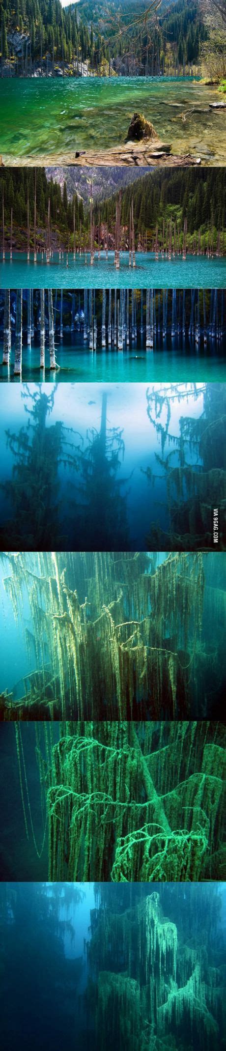 The Sunken Forest Of Lake Kaindy Kazakhstan Beautiful Places To