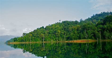Our Journey With Nature Tasik Semula Jadi Bera Pahang