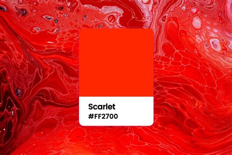 all you want to know about scarlet color meaning combinations and palettes fotor
