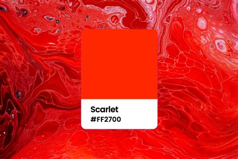 All You Want To Know About Scarlet Color Meaning Combinations And