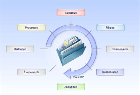 Ibm Advanced Case Management Information Process And People Bpm