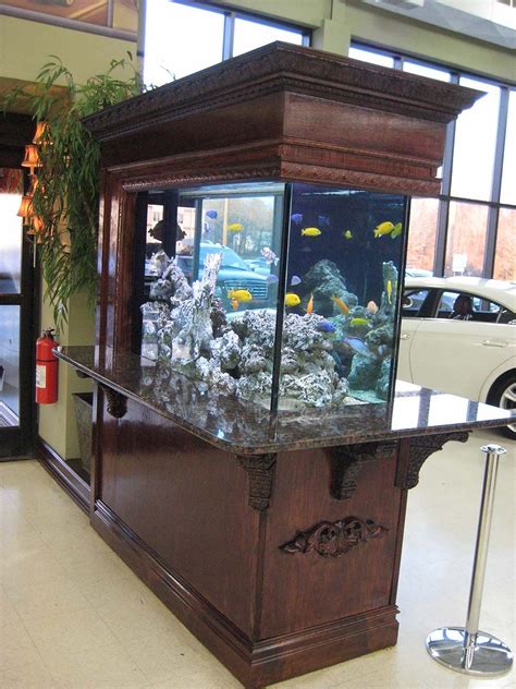 200 Fresh Water Aquarium Installed By Aquaholics Aquarium Services