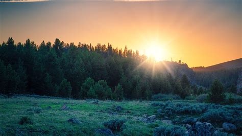 Sunrise Forest Wallpapers Top Free Sunrise Forest Backgrounds