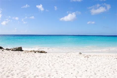 Druif Beach Aruba Picture Of Divi Aruba All Inclusive Oranjestad