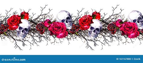Human Skulls With Rose Flowers Branches Seamless Border Frame
