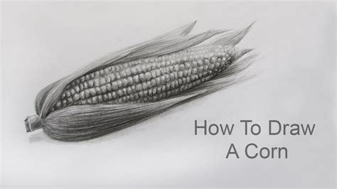 How To Draw A Corn Step By Step Pencil Sketch Corn Drawing Youtube