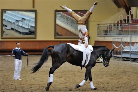 Gymnastics On Horseback A Guide To Equestrian Vaulting Horse Factbook