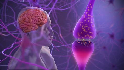 Neuroprotection In Parkinson Disease The Holy Grail Danish Bhatti